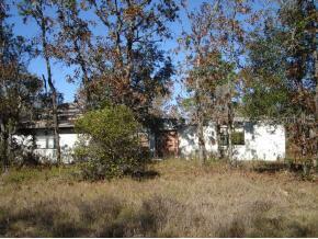 13651 NE 50 Ln., Williston, FL 32696