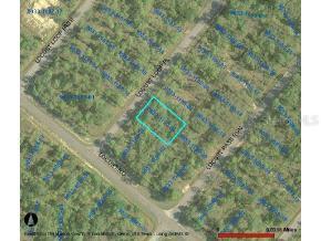 Locust Loop Pl., Ocala, FL 34472