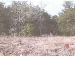 123 Hayman Dr., Interlachen, FL 32148