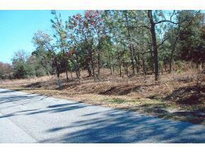 SE 158 Pl., Summerfield, FL 34491