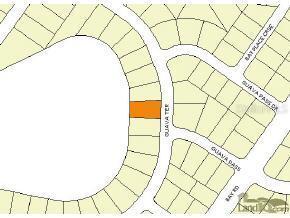 Guava Ter., Ocklawaha, FL 32179