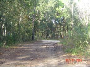 SE 34 Terr/off 467, Belleview, FL 34420