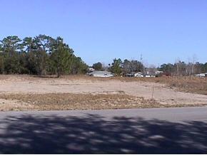 Pine Trace Loop, Ocala, FL 34472