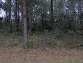 NW 123 Ln., Ocala, FL 32668