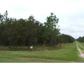 SW 81 St., Ocala, FL 34481