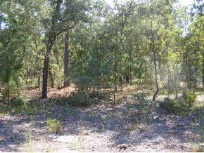 SE 94 Ct., Summerfield, FL 34491