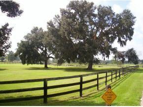 12910 NW 82 St Rd., Ocala, FL 34482