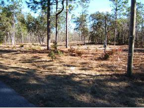 NE 7 Pl., Williston, FL 32696