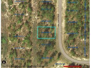 SW 134 Loop, Ocala, FL 34473