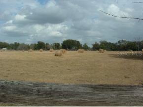 15710 NW 27 Ave., Reddick, FL 32686