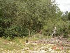 SW Marion Oaks Blvd., Ocala, FL 34473