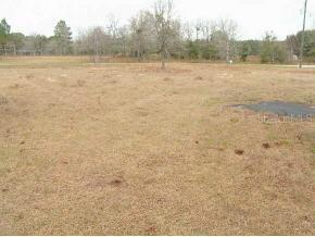 NW 12 St., Ocala, FL 34482