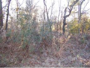 Water Track Dr., Ocala, FL 34472