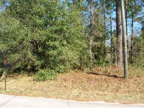 11 SE Pine Crse Ct., Ocala, FL 34472