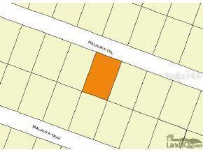 Malauka Tr., Ocklawaha, FL 32179