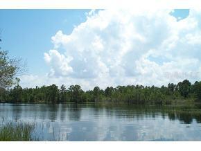 SE Fisher Way, Ocklawaha, FL 32179