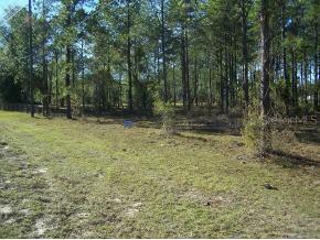 SE Highway 464c, Ocklawaha, FL 32179