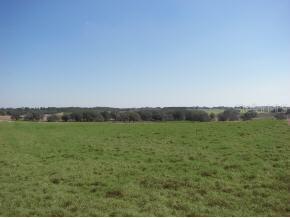 NW 27 St., Dunnellon, FL 34432