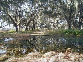 5348 NW 219 St Rd., Mcintosh, FL 32664