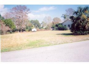 Blue Heron Way, Leesburg, FL 34788