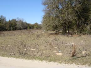 NW 56 Ave., Ocala, FL 34474