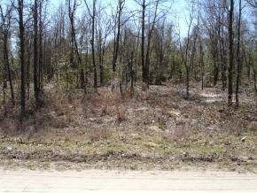 NW 11 St., Ocala, FL 34474