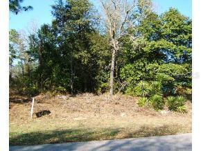 00 NE 14 Pl., Williston, FL 32696