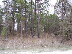 SW 45 St., Ocala, FL 34481