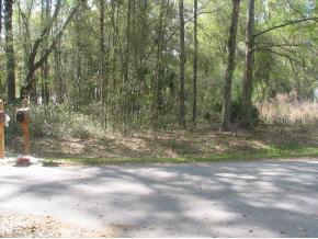 SE 46 Ave., Summerfield, FL 34491