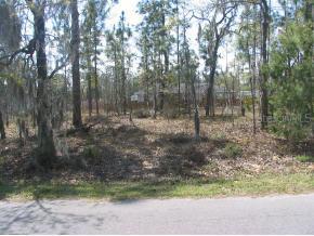 Fir Trail Dr., Ocala, FL 34472