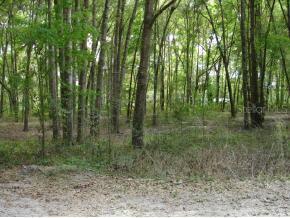 SE 38 Ct., Belleview, FL 34420