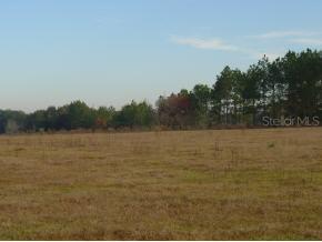 SW 85 St., Ocala, FL 34476