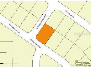 Sequoia Loop, Ocklawaha, FL 32179