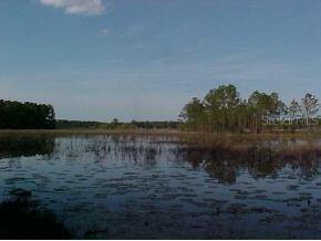 22701 NE 114 Null Ave., Orange Springs, FL 32134