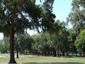 LOT 1 NW Lot 1 35 St., Ocala, FL 34482