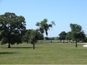 LOT 2 NW Lot 2 35 St., Ocala, FL 34482