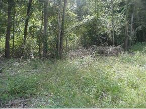 SE 41 Ct., Belleview, FL 34420