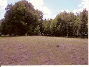 27922 SW 30 Ave., Newberry, FL 32669