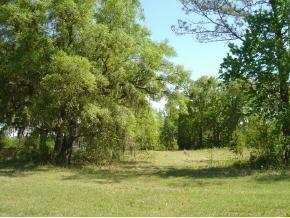 NW 100 Ave., Ocala, FL 34482