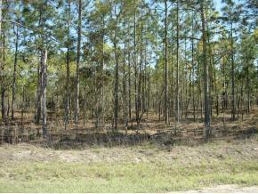 SW 64 St Rd., Ocala, FL 34481