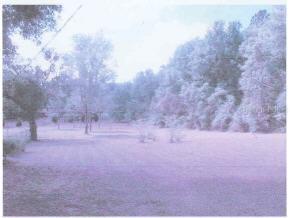 NE 28 St., Ocala, FL 34470