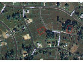 SE Pine Track Loop, Ocala, FL 34472