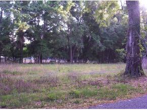 NW 130 St., Reddick, FL 32686