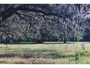 3191 NE 97 St Rd., Anthony, FL 32617