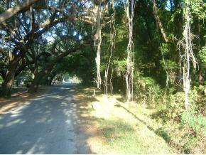 SE 122 Pl., Ocklawaha, FL 32179