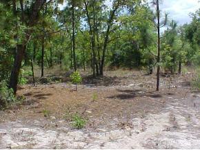 LT 51/53 SE Lt 51/53 162 St., Summerfield, FL