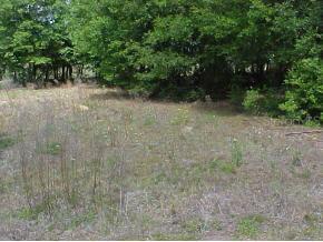 SE 155 Pl., Summerfield, FL 32179