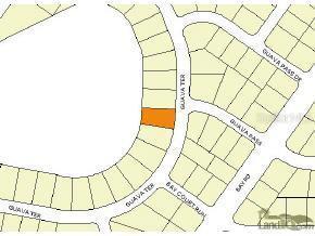 Guava Ter., Ocklawaha, FL 32179