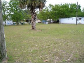 SE 91 Ct., Summerfield, FL 34491