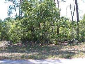 SW 169 Ln Rd., Ocala, FL 34473